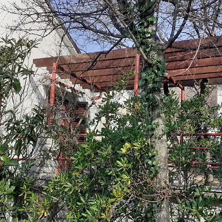 Apartment Rudi Klenovica